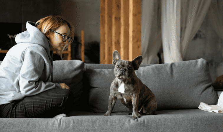 Qual o tipo de sofá ideal para quem tem pets?